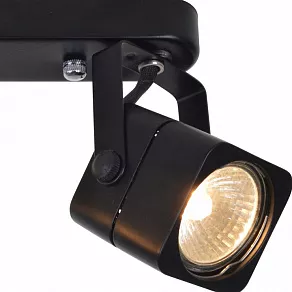 Спот Arte Lamp Lente A1314PL-2BK