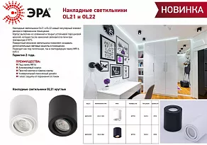 Накладной светильник Эра OL21 BK Б0054393