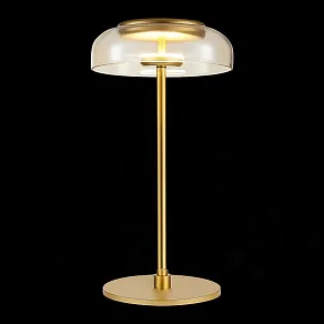 Настольная лампа декоративная ST-Luce Lacio SL6002.204.01