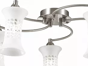 Потолочная люстра Odeon Light Rukba 2516/5C
