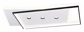 Накладной светильник Ambrella FL FL5066
