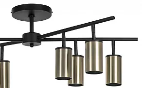 Люстра на штанге Lightstar Rullo LR728318