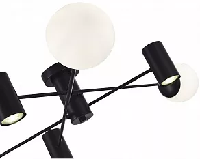 Потолочная люстра EVOLUCE Raito SLE1105-402-06