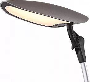 Настольная лампа офисная Globo Beaver 58129