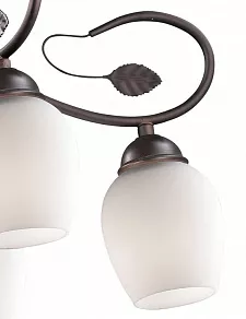 Подвесная люстра Odeon Light Belana 2500/6