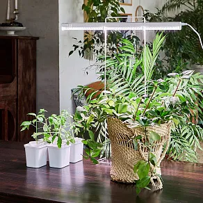 Накладной светильник Uniel ULI-P1 UL-00002257