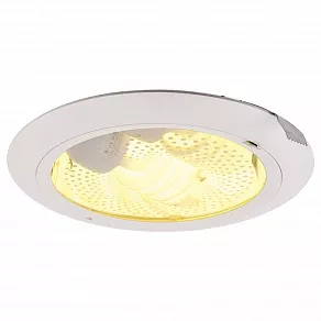 Встраиваемый светильник Arte Lamp Downlights A8060PL-2WH