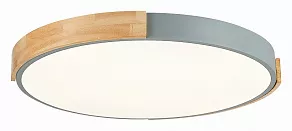 Накладной светильник EVOLUCE Delia SLE201372-01