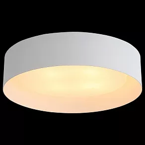 Накладной светильник ST-Luce Chio SL392.502.04