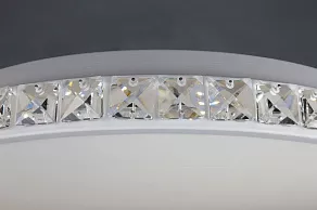 Накладной светильник Omnilux Falmouth OML-45407-60