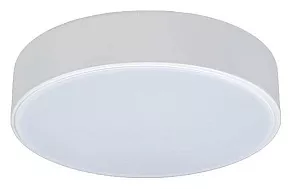 Накладной светильник Loft it Axel 1 10002/12 White