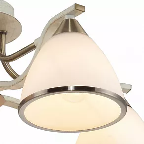 Потолочная люстра TopLight Sheena TL3670X-05AB