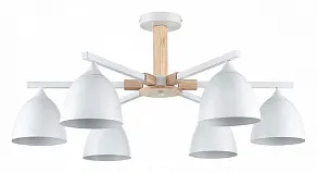 Люстра на штанге Lumion Colange 8095/6C