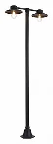 Фонарный столб ST-Luce Basko SL9542.705.02