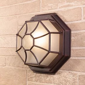 Накладной светильник Elektrostandard Telarana a043660