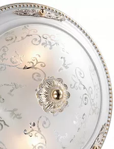 Накладной светильник Odeon Light Corbea 2670/2C