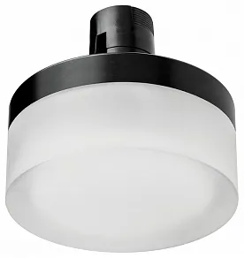 Накладной светильник Lightstar Due Hermes 210647