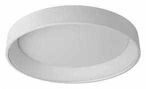 Накладной светильник Lucide Talowe Led 46100/80/31