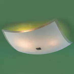 Накладной светильник Citilux 932 CL932021