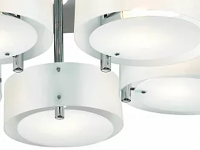 Потолочная люстра EVOLUCE Foresta SL483.502.05