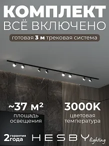 Комплект трековый Hesby Lighting Skylite №13 HSBL_kompl_S013_NI3B3K
