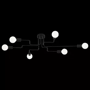 Потолочная люстра EVOLUCE Ano SL419.442.06