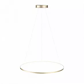 Подвесной светильник ST-Luce Erto SL904.213.01