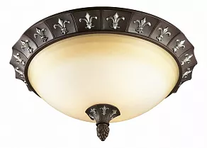 Накладной светильник Odeon Light Ridera 2784/3C