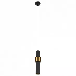 Подвесной светильник Arte Lamp Ran A3144SP-1BK