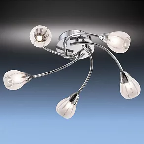 Потолочная люстра Odeon Light Posi 1613/5C