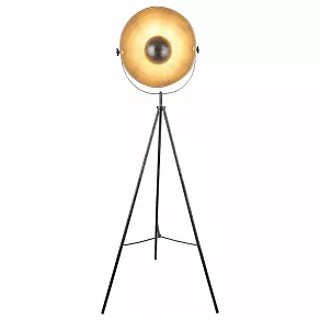 Торшер Globo Sandra 58323S