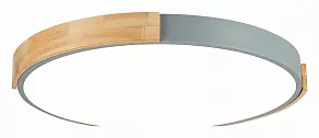 Накладной светильник EVOLUCE Delia SLE201372-01