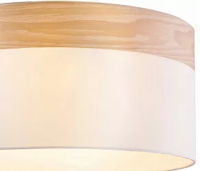 Накладной светильник TopLight Mabel TL1121-3D