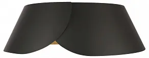 Накладной светильник Loft it Lane 10370 Black