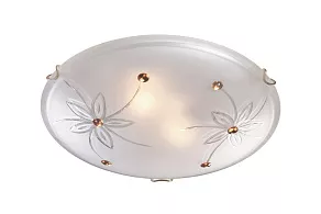 Накладной светильник Sonex Floret 349