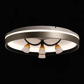 Потолочная люстра De City Норден 660014901