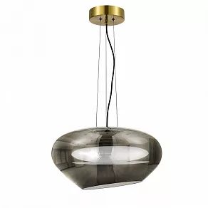 Подвесной светильник ST-Luce Foray SL6019.313.01