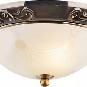 Накладной светильник Arte Lamp Alta A3014PL-2AB