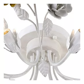 Потолочная люстра Arte Lamp Rosarium A1196PL-6WG