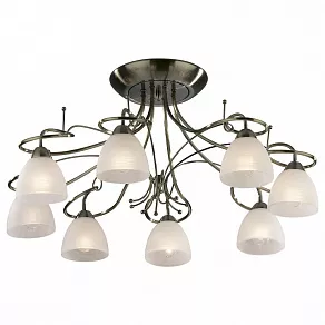 Потолочная люстра Odeon Light Kaena 2120/8C