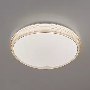 Накладной светильник Elektrostandard 40008 a041563