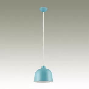 Подвесной светильник Lumion Rory 3656/1