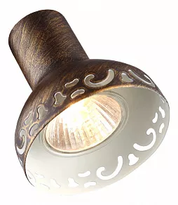 Спот Arte Lamp Focus A5219AP-2BR