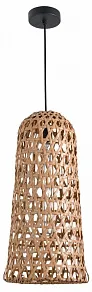 Подвесной светильник Favourite Recinto 4888-1P