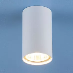 Накладной светильник Elektrostandard 1081 a045436