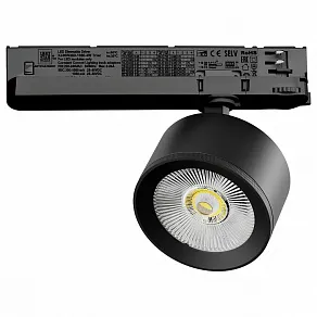 Светильник на штанге Lightstar Alta Pro A5537TRIAC