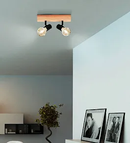 Спот Eglo TOWNSHEND 3 99478