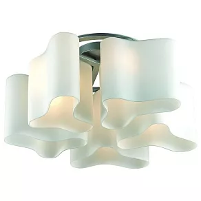 Потолочная люстра ST-Luce Onde 2 SL118.502.05