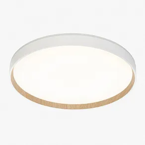 Накладной светильник Citilux ETALON CL750400R