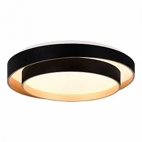 Накладной светильник EVOLUCE Crosby SLE6009-402-01